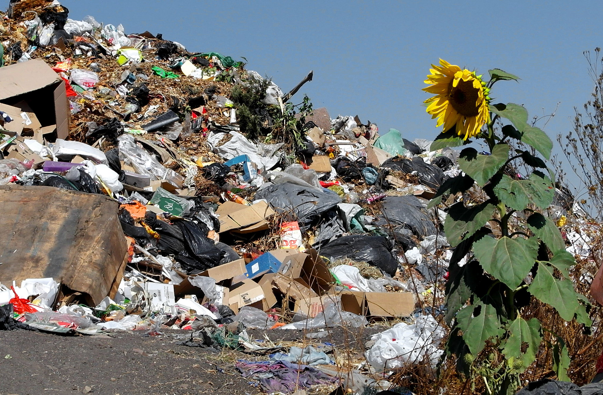 dump